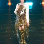 手刀準備!江蕙明年2月連唱5場「實名登記倒數12小時」 演唱會內容搶先曝光