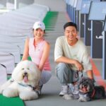 熊爸估狗／新技能get　葉欣寧偷師訓練雙犬新招